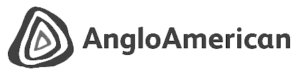 $client['alt'];